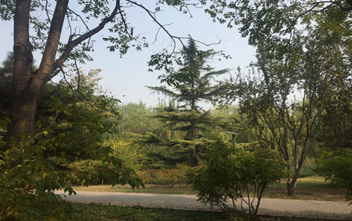 广泽中心周边环境